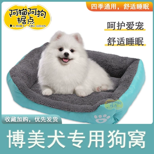 Bomei Dog Special Dog Gnes