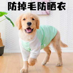 狗狗防晒衣服大型犬夏季薄款防掉毛夏天凉凉衣边牧萨摩耶透气背心