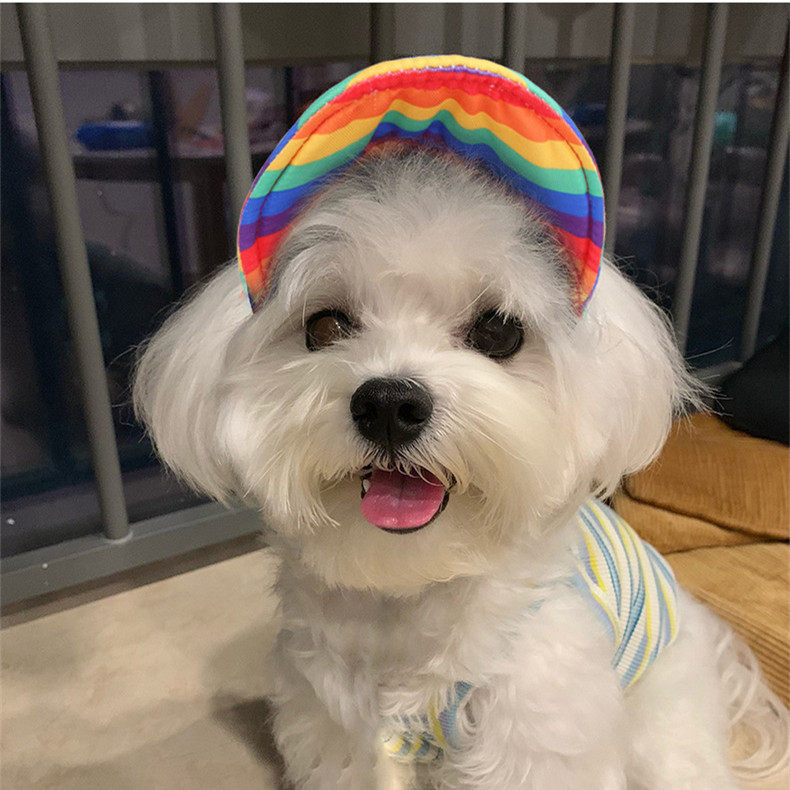 狗狗帽子比熊小型犬夏季露耳朵遮阳帽宠物金毛大型犬防晒用鸭舌帽