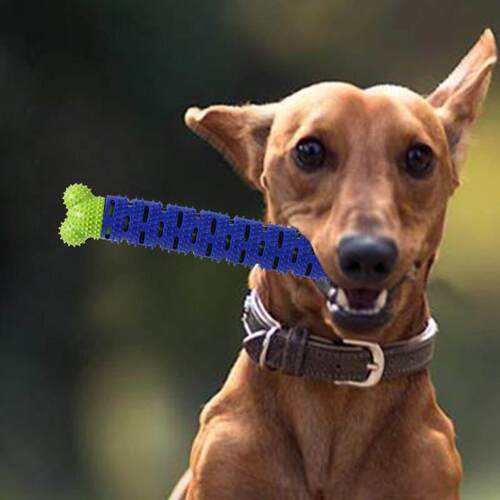 Puppy Brush Dog Toothbrush Chew Toy Stick Cleaning Massager