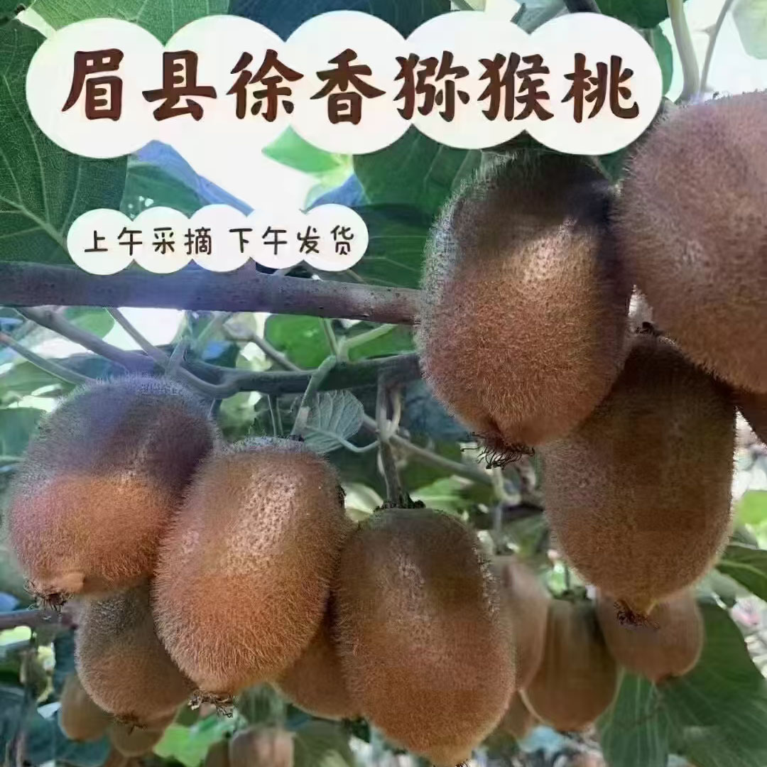当季奇异果/猕猴桃新鲜现摘现发