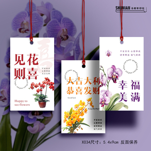 蝴蝶兰小卡片花卉吊牌装饰挂牌配件挂饰绿植物上兰花贺卡装饰挂件