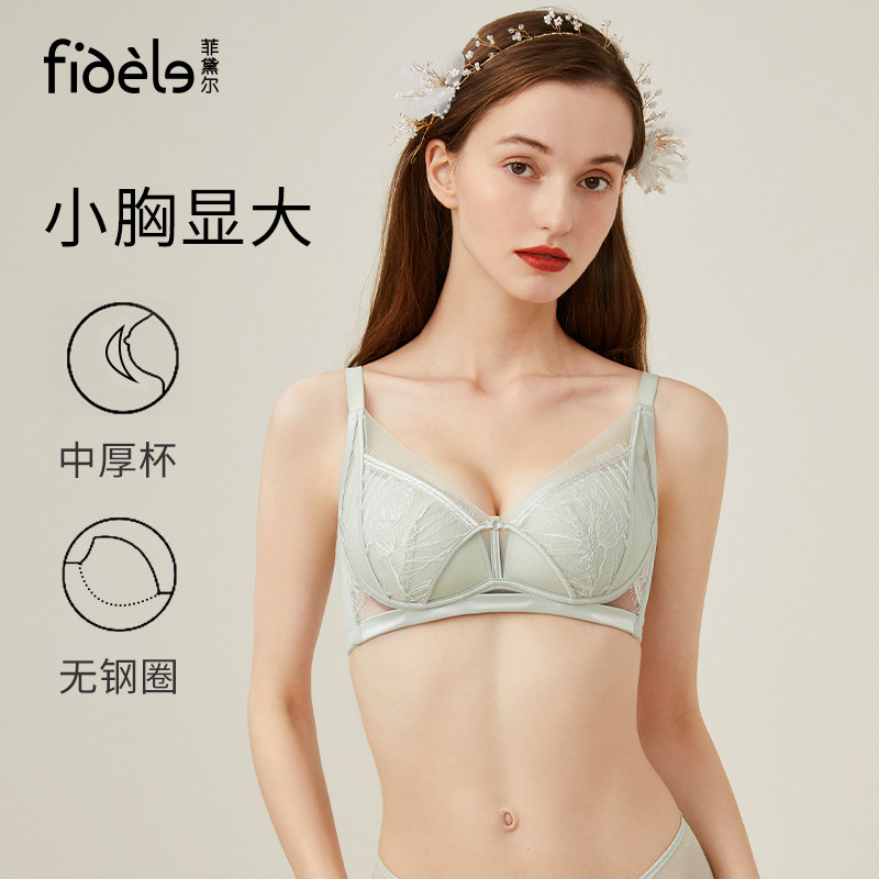 菲黛尔伊甸情缘内衣女小胸显大聚拢收副乳调整型文胸舒适无钢圈