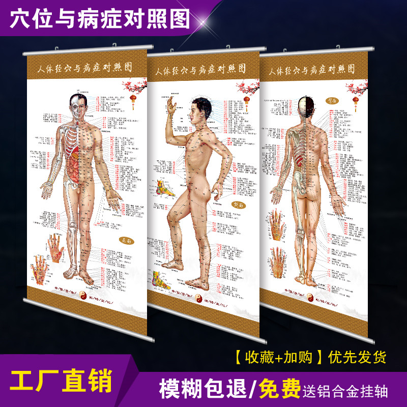 人体经络穴位病症对照挂图