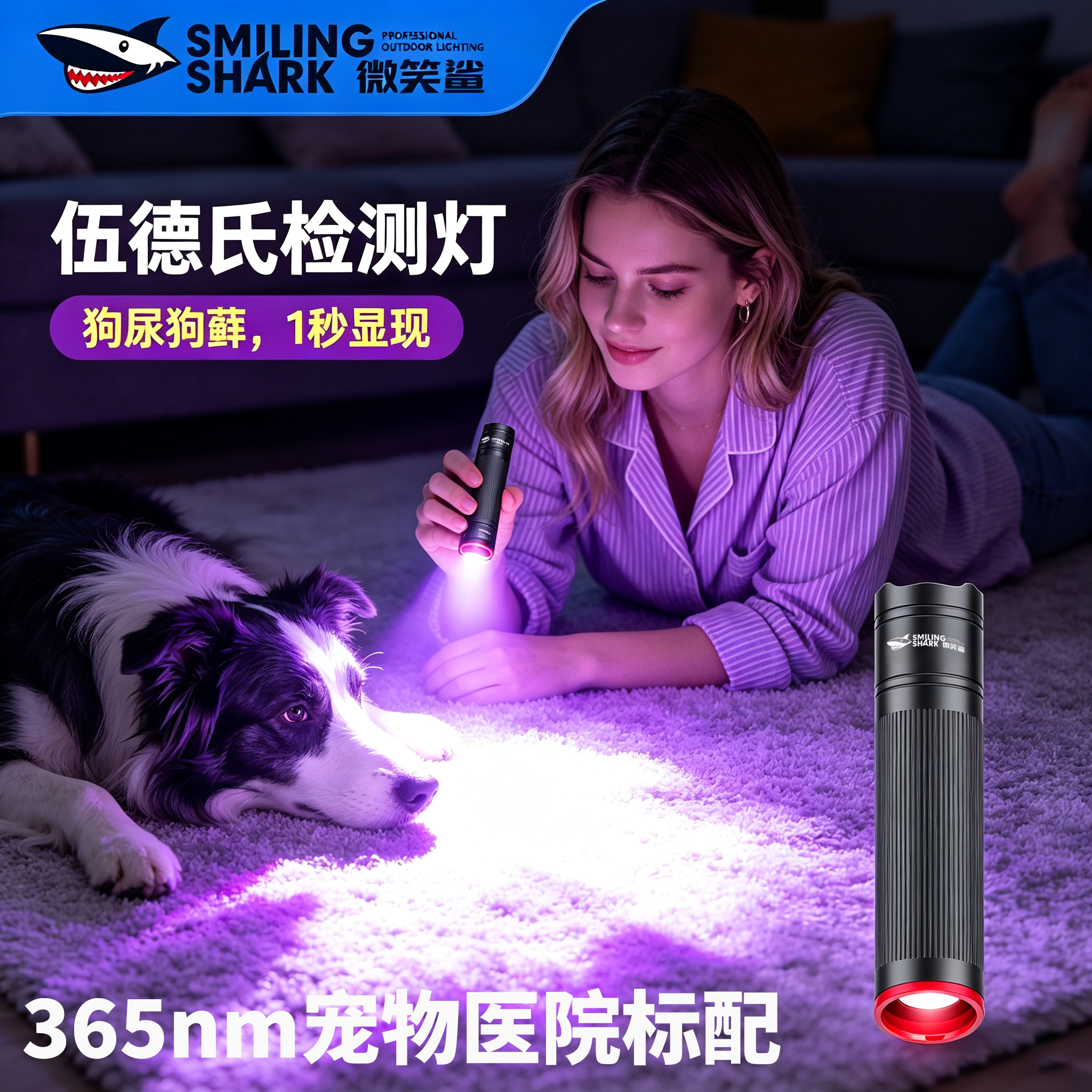 手电筒照狗藓家中狗尿紫外线检查图片