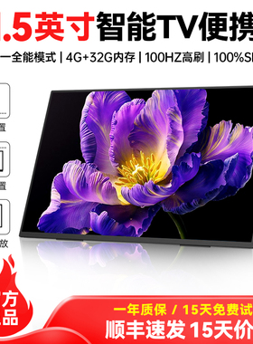 EIMIO21.5英寸超大屏高刷触控便携显示器笔记本电脑外接拓展副屏