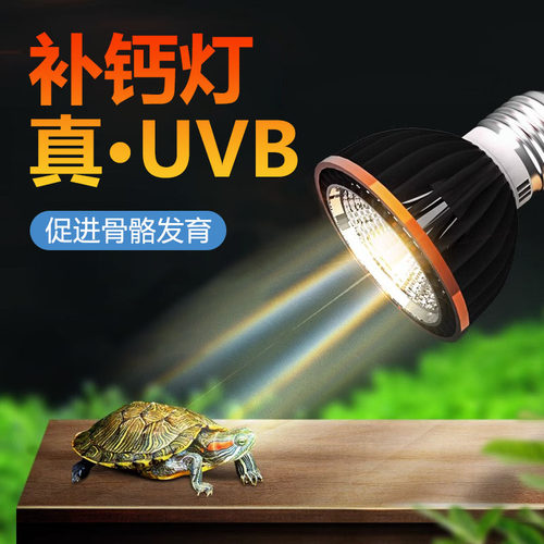 全光谱UVB晒背灯乌龟补钙增食欲