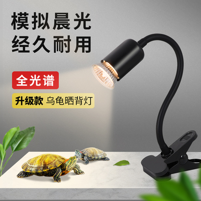 乌龟晒背灯用品uvb灯加热灯乌龟灯uva爬宠灯专用全光谱太阳能灯宠