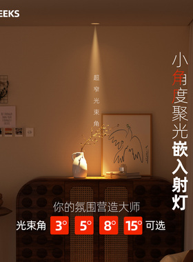 nameeks聚光射灯小角度光束角3度5度8度嵌入式餐厅玄关防眩天花灯