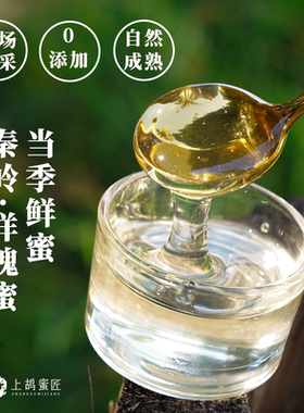 上鸪蜜匠洋槐蜜天然槐花蜜纯正水白蜜野生蜂蜜水白色成熟蜜无添加