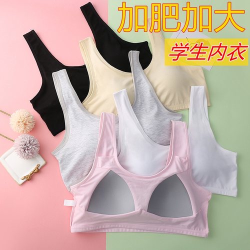 发育期文胸纯棉大码胖女生中学生