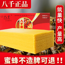 蜜蜂巢皮中锋深房巢础片养蜂峰巢脾蜂蜡片 八千巢基 正品 中蜂巢础