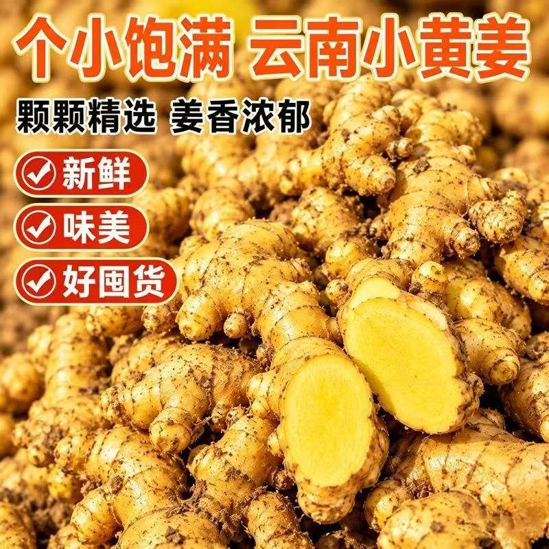 云南小黄姜生姜家用商用老姜黄姜新鲜生姜5斤10斤炒菜做姜茶适用