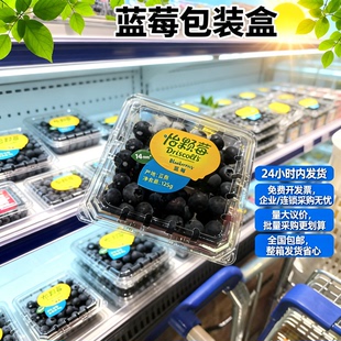 蓝莓专用包装盒 125g250g500g1000g一次性透明塑料盒子保鲜水果盒