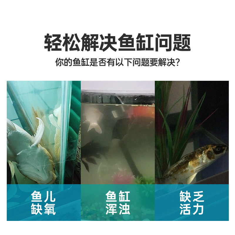 小型圆缸龟缸鱼缸过滤器迷你净水器内置过滤器三合一超静音增氧泵