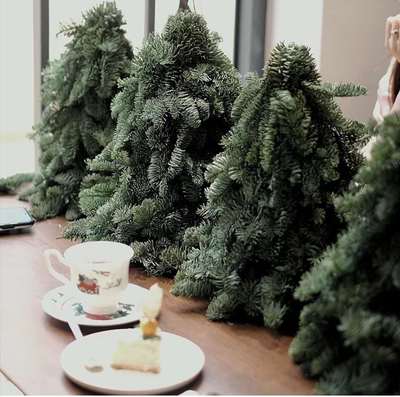 新鲜诺贝松圣诞树进口诺贝松圣诞树真树高端圣诞树真圣诞树圣诞节