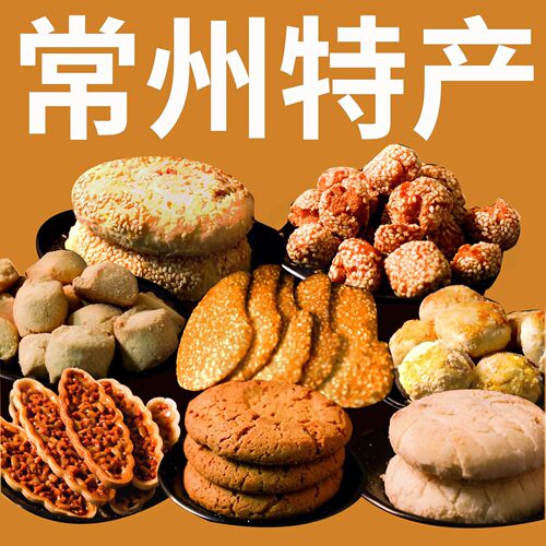 常州特产常州糕点江南东坡园送礼