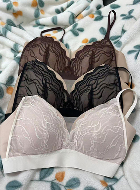SC260160XY2SS 蕾丝聚拢舒适U型美背内衣