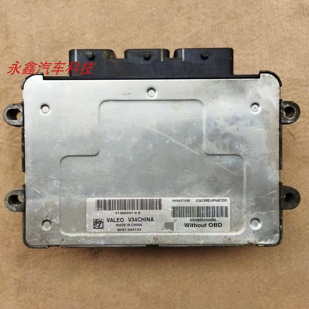 标志206207307发动机电脑板ecu