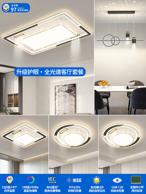 客厅主灯2025新风格简约现代优雅平易豪华Led高亮度中山吸顶灯整