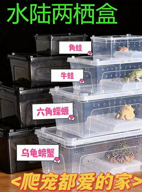 爬宠饲养盒蜗牛乌龟螳螂面包虫昆虫甲虫跳蛛寄居蟹角蛙蟋蟀爬宠箱