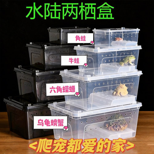 爬宠饲养盒蜗牛乌龟螳螂面包虫昆虫甲虫跳蛛寄居蟹角蛙蟋蟀爬宠箱