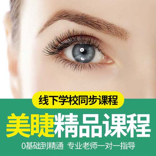 名师指导 课程高清  老师专业