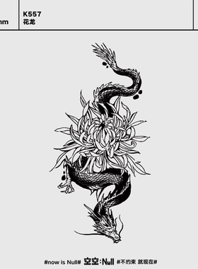 空空NULL 花龙 草本防水持久男女保持久创意高级感个性龙年纹身贴