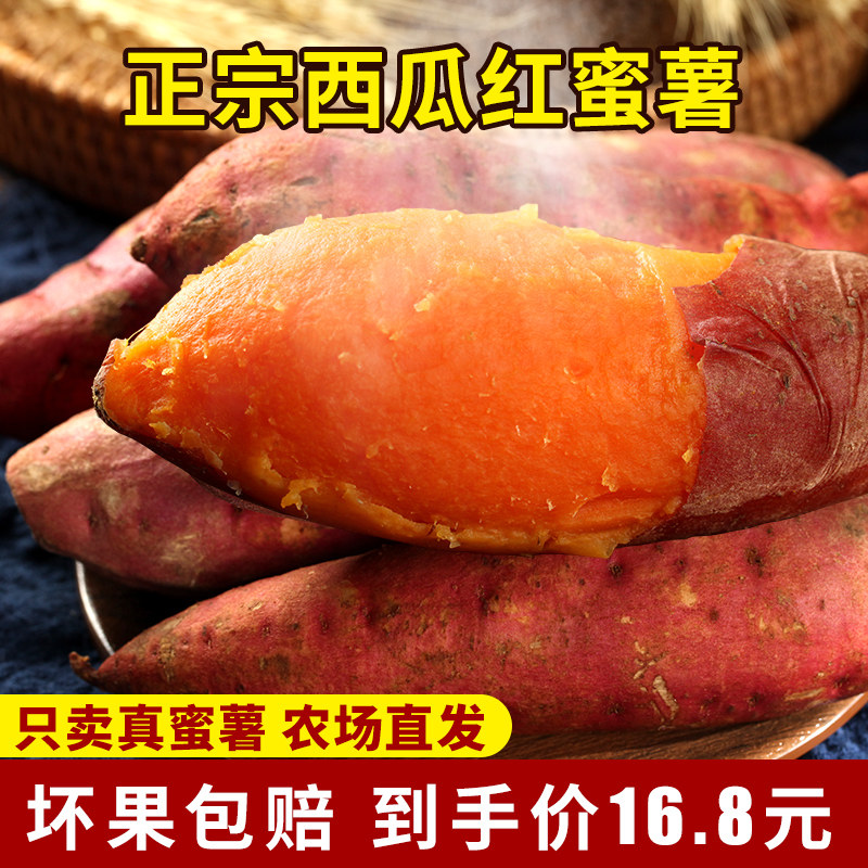 六鳌蜜薯糖心板栗红薯新鲜10斤现挖沙地西瓜红蜜薯地瓜小番薯5斤