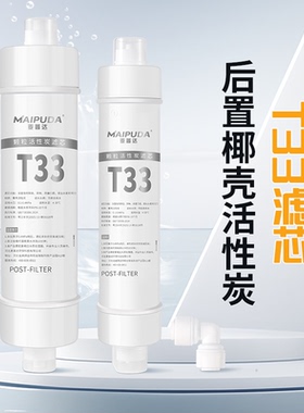 t33后置活性炭滤芯椰壳净水器家用厨房RO纯水机超滤净水器大后置
