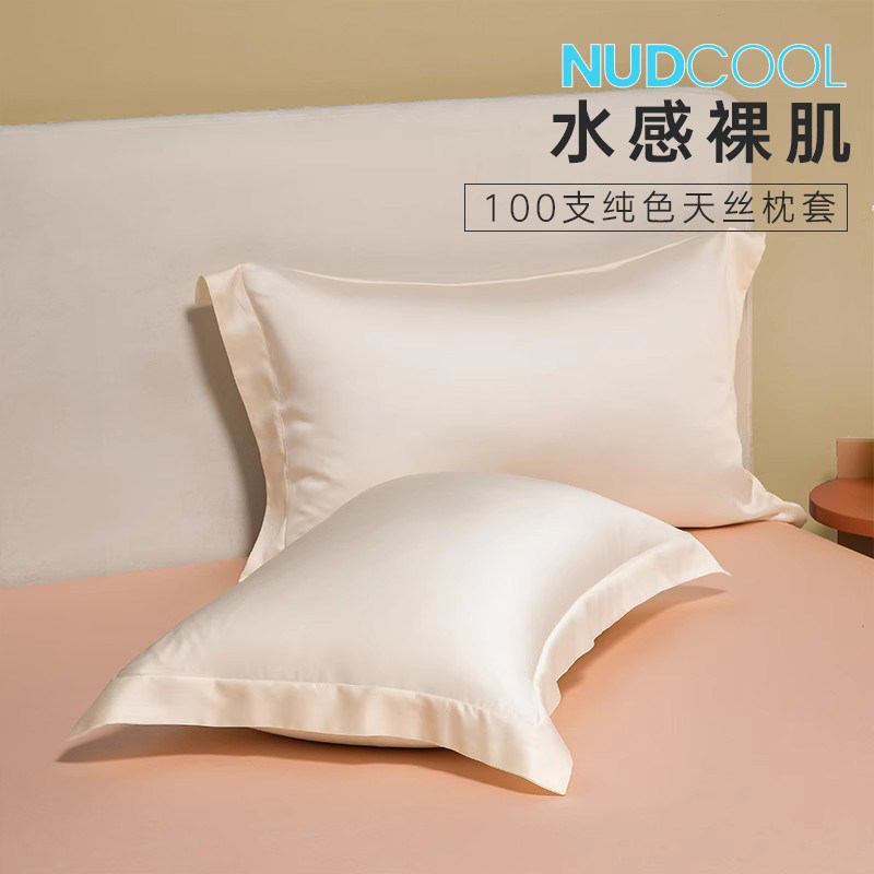 夏季高端100S天丝枕套一对装48x74cm冰丝家用夏天真丝凉感枕头套