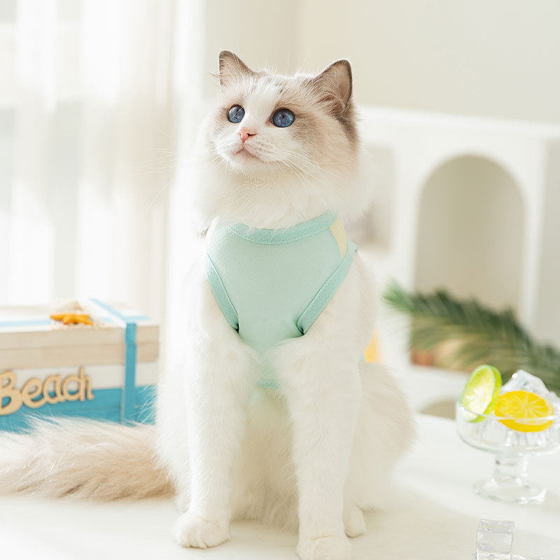 猫咪春夏季透气马卡龙小蝴蝶网眼防晒凉凉宠物猫牵引背心狗狗衣服