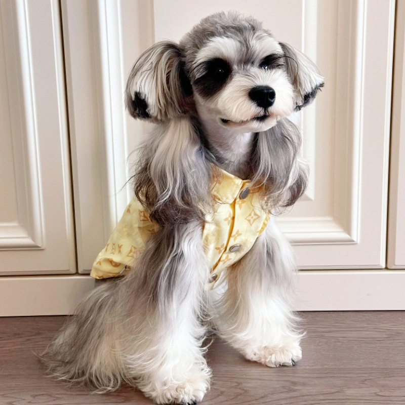 宠物衣服狗狗大牌薄款大中型犬金毛巨贵比熊泰迪柯基雪纳瑞小狗夏