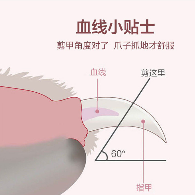 引力猫咪指甲剪照血线耳螨LED宠物指甲剪 幼猫小狗指甲刀修剪器