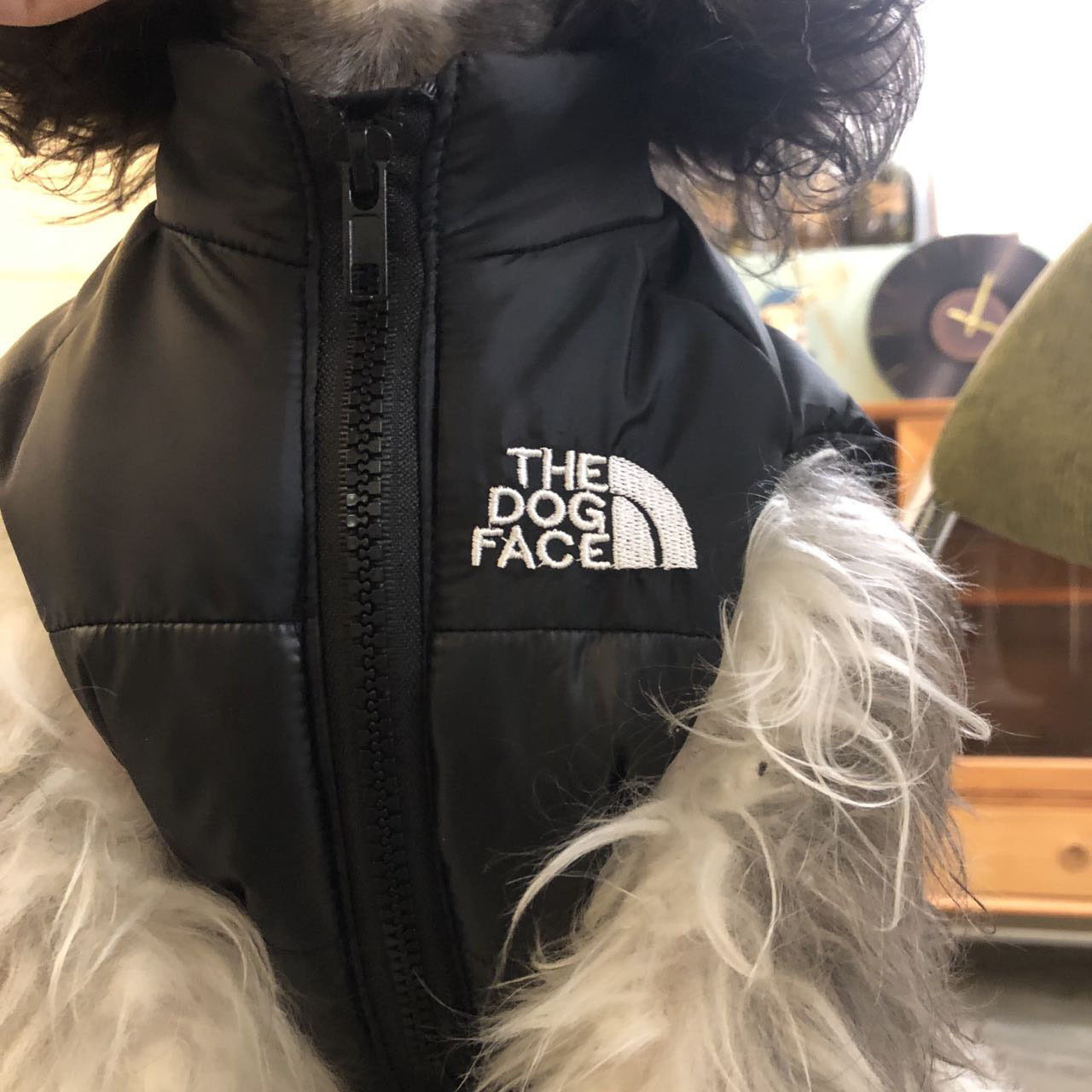 秋冬季宠物狗衣服泰迪雪