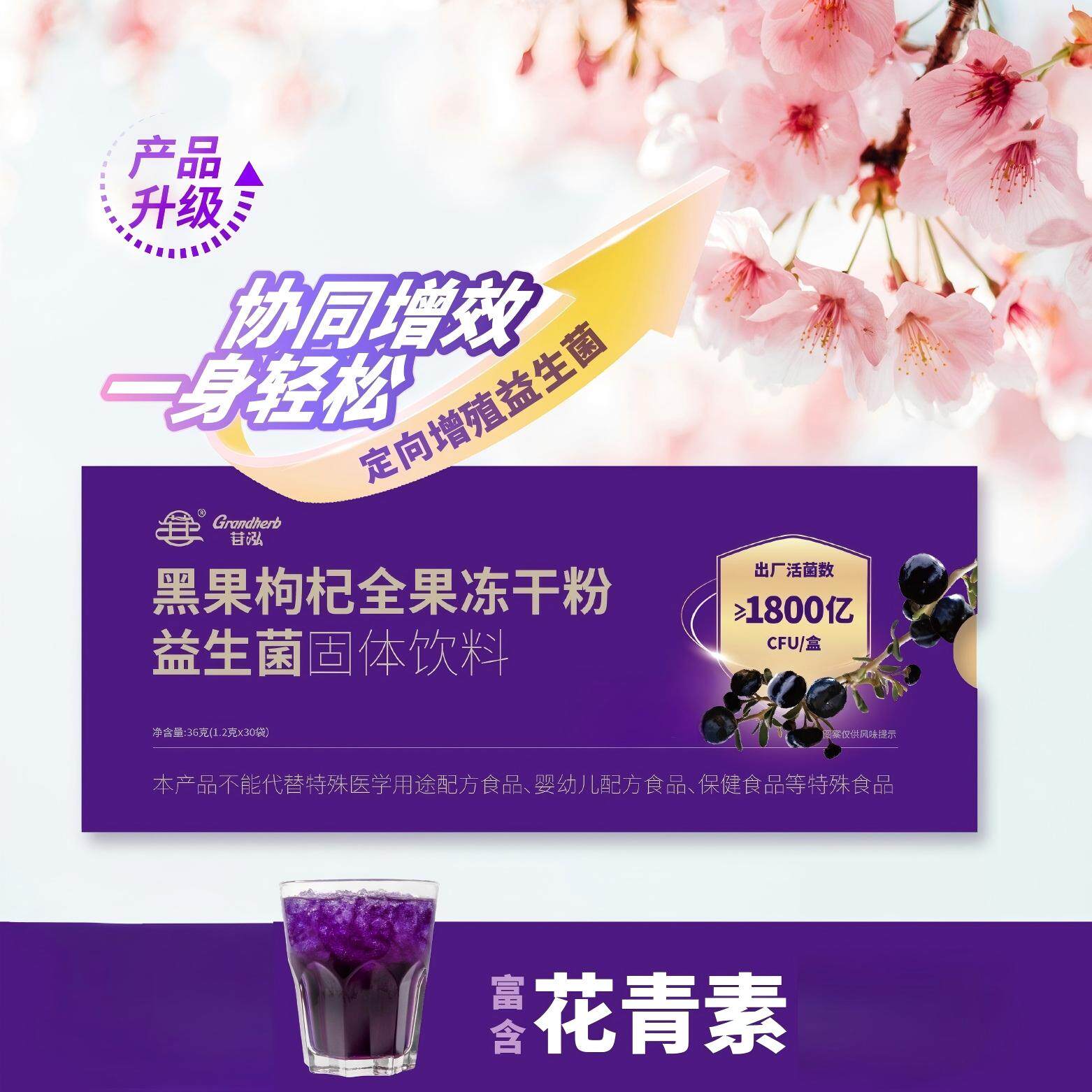 苷泓黑枸杞冻干粉益生菌固体饮料天然花青素原花青素36克