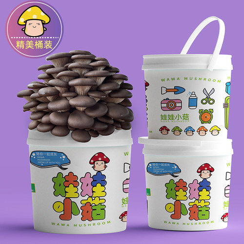 蘑菇种植桶装操作简单喷水生长