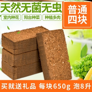 四季塑封冬眠通用型椰康土砖种植土菜物砖耶丝椰糠爬虫粪肥营养土