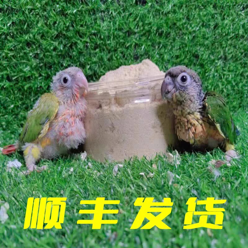 小太阳黄边凤梨肉桂蓝化和尚标识小鸟类专用混合粮雏鸟蛋小米奶粉