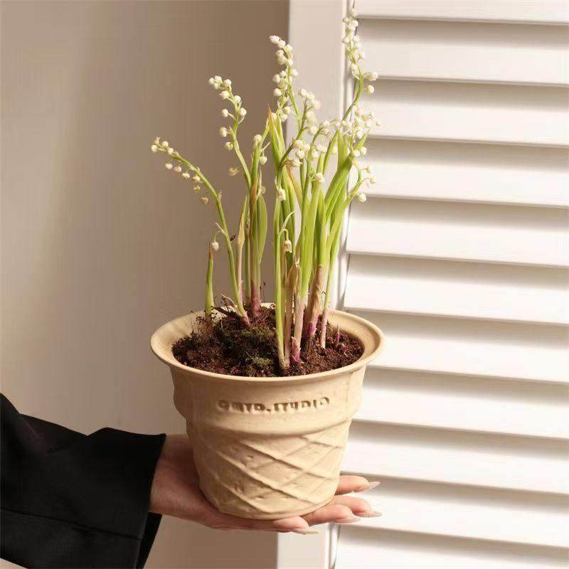 北欧新潮冰淇淋甜筒盆栽高颜值陶瓷花盆客厅样板房桌面摆件礼物