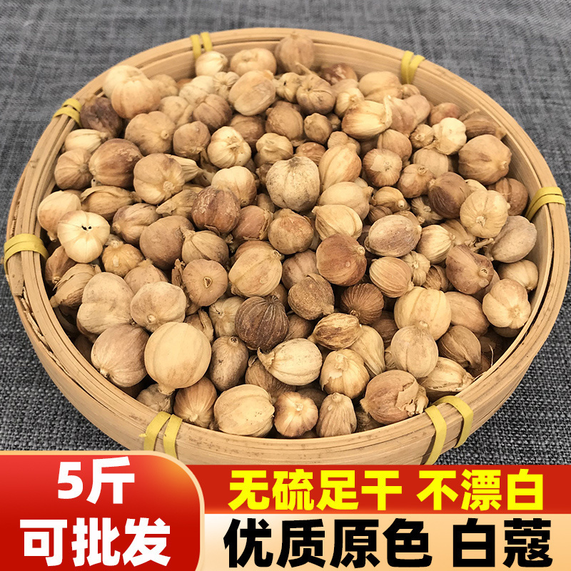 仓谣白豆蔻白扣白寇仁白叩香料调料大全卤料大料佐料家用商用500g