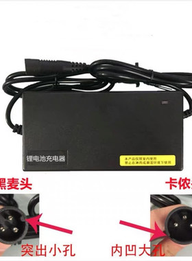 适用爱玛电动车电瓶原装锂电池充电器48伏12安20ah54.6v2A艾玛小