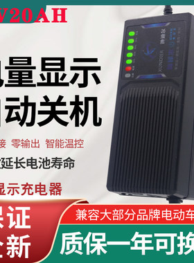 96V20AH爱玛通用32ah快充