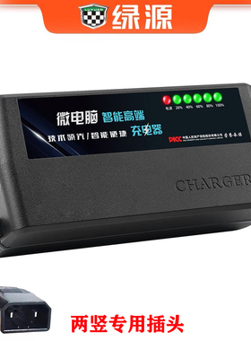 绿源适用电动车电瓶充电器48V60V6472V12/20AH20E-T30E2T玉骑铃