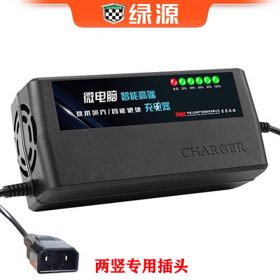 绿源适用电动车电瓶充电器4