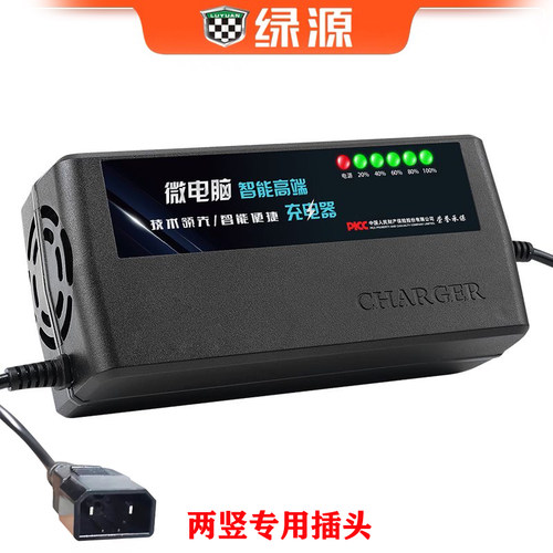 绿源适用电动车电瓶充电器4