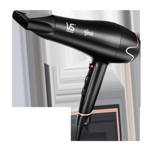 沙宣负离子吹风机集风嘴家用大功率大风力网红款 吹风筒VS5543PICN