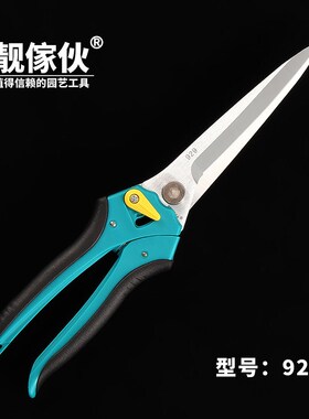 台湾制造枝剪加长刀刃修枝剪嫩枝剪刀园艺盆景进口花卉剪子
