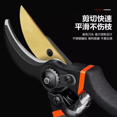 德国进口精工艺园剪刀剪树枝专用剪刀修枝剪果树剪花园林园艺剪子