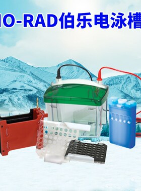 美国伯乐电泳仪小型垂直水平电泳槽转印槽蛋白槽伯乐Biorad电泳仪